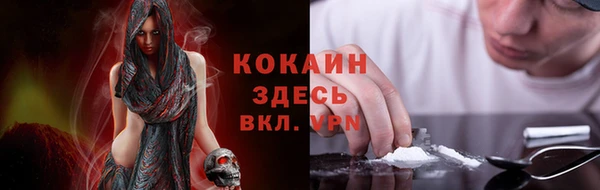 сатива Балабаново