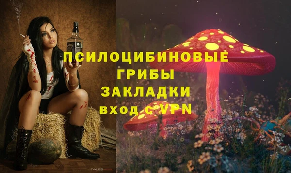 сатива Балабаново