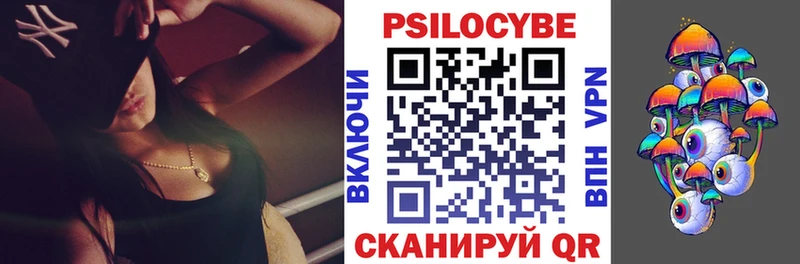 наркота  Губаха  Галлюциногенные грибы Cubensis 