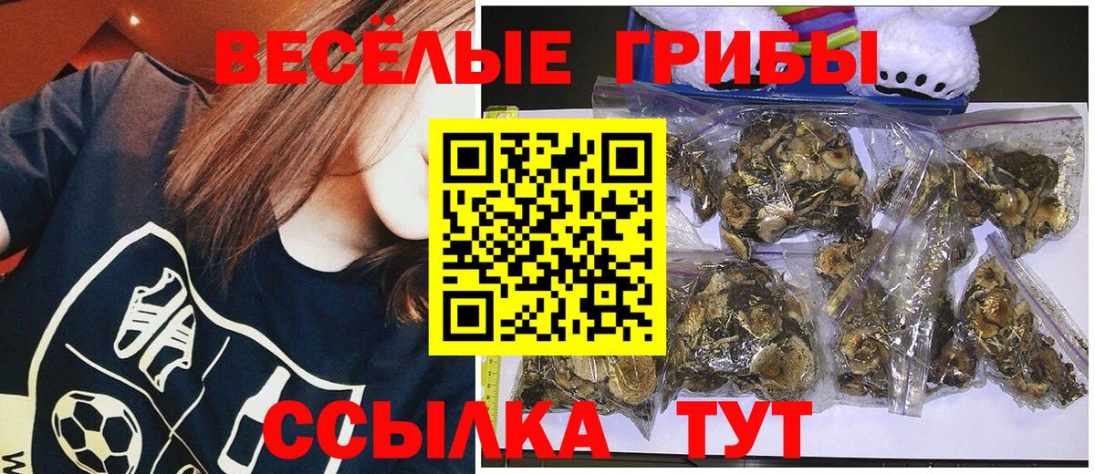 Галлюциногенные грибы Psilocybine cubensis Губаха