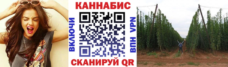 Канабис Bruce Banner Губаха